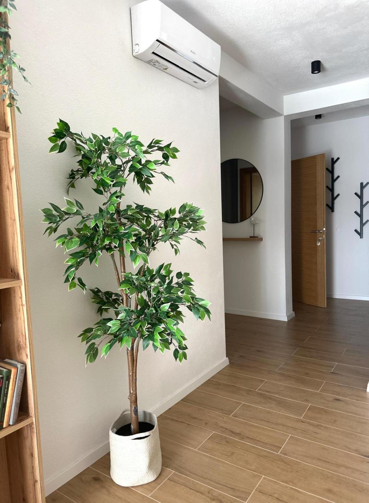Apartmani Palada Poljica  Dış mekan fotoğraf
